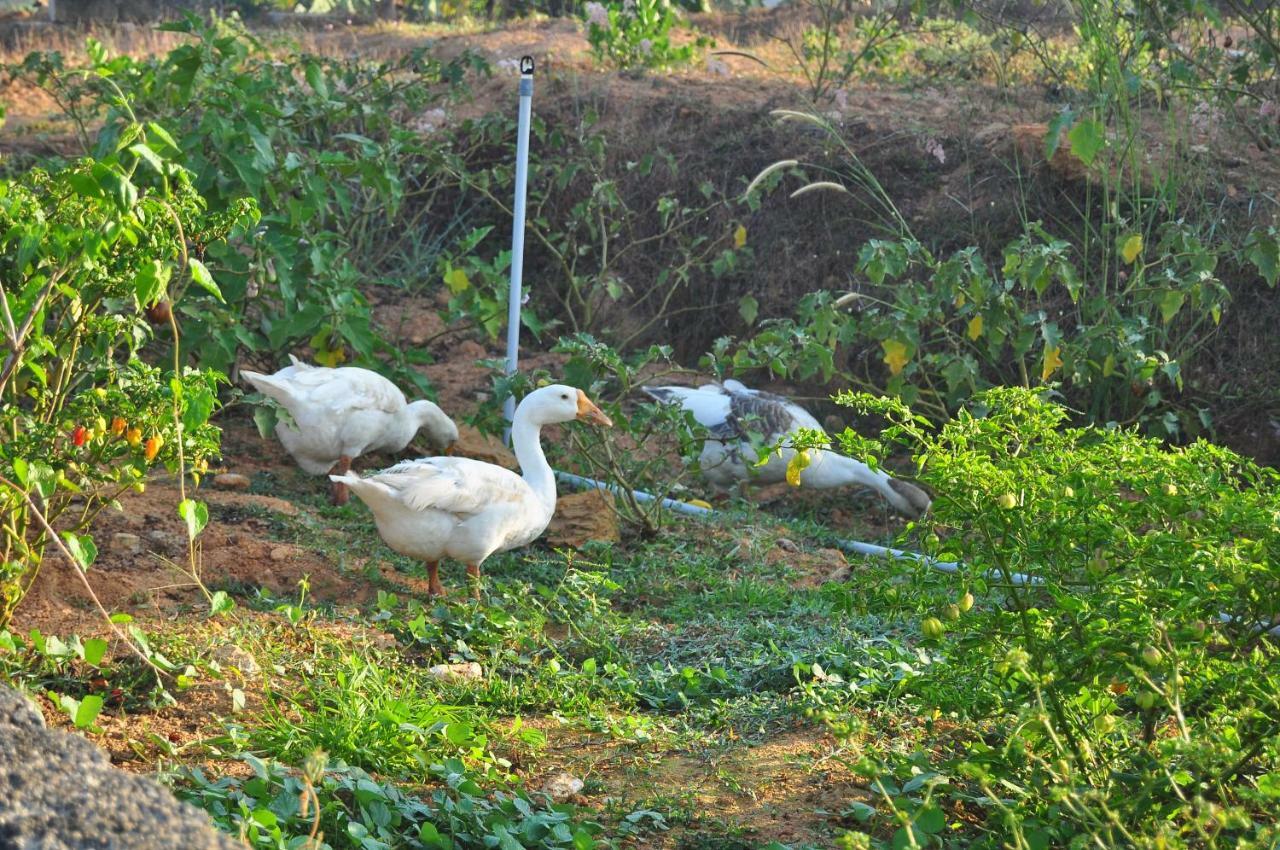 Indimasi - Ayurveda & Healing Village By Citrine Thiruvananthapuram Exterior photo